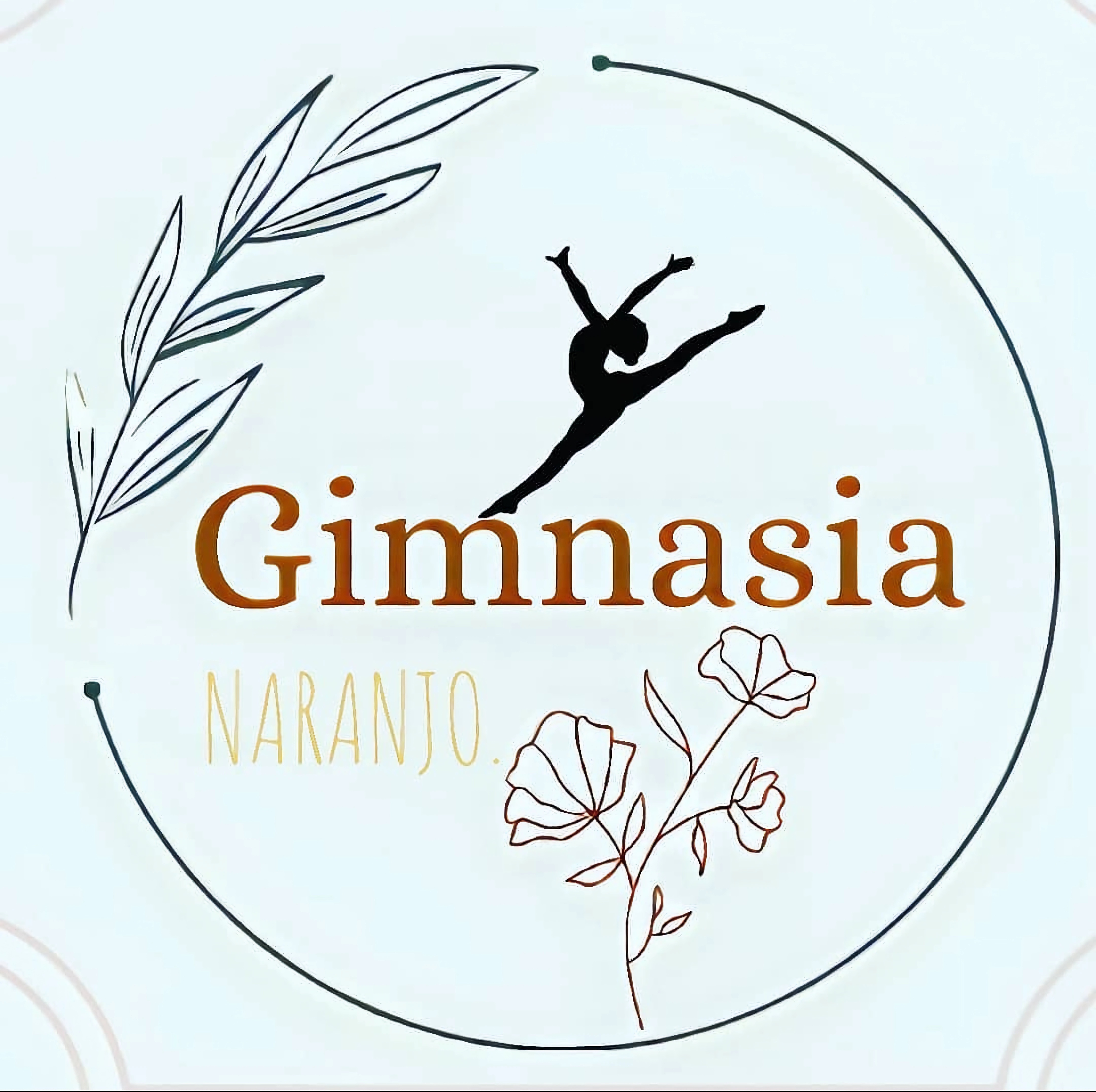 Foto de Gimnasia Rítmica Naranjo Pilas central